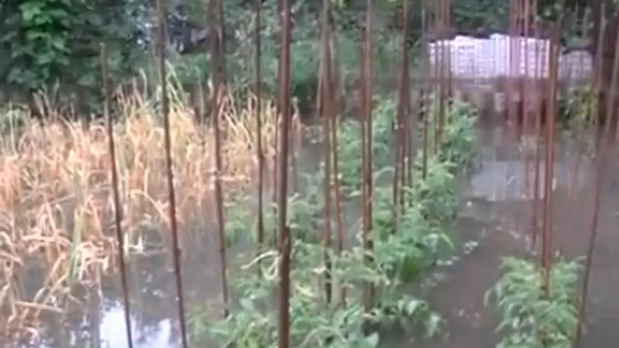 Rupere de nori la Târgu Jiu: O ploaie torențială a umplut de apă străzile și curțile locuințelor (VIDEO)