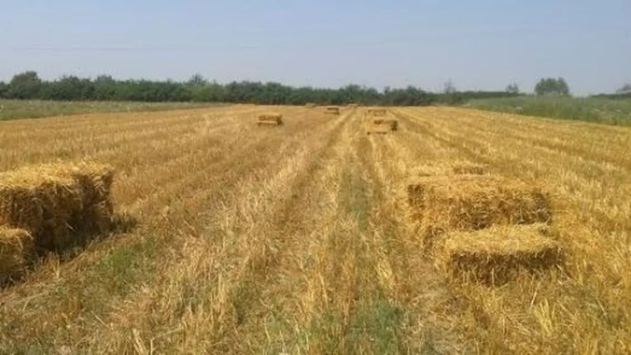 Tragedie în Buzău! Un tânăr a murit pe câmp în timp ce încerca să repare un utilaj agricol