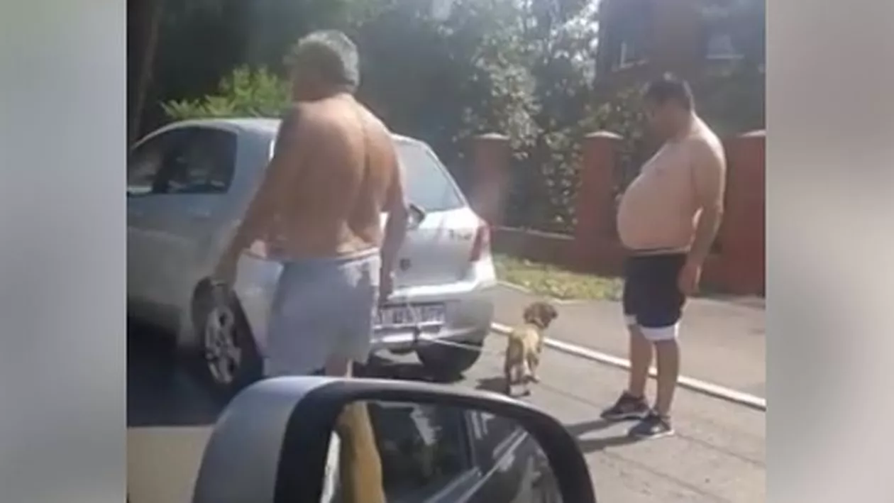 SCANDALOS! Un cățel a fost LEGAT DE MAŞINĂ și târât pe șosea. Internauții cer să se facă dreptate (VIDEO)