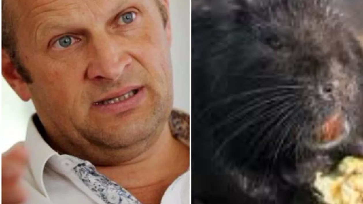 Un primar din Franța a mâncat o rozătoare pentru o echipă de fotbal