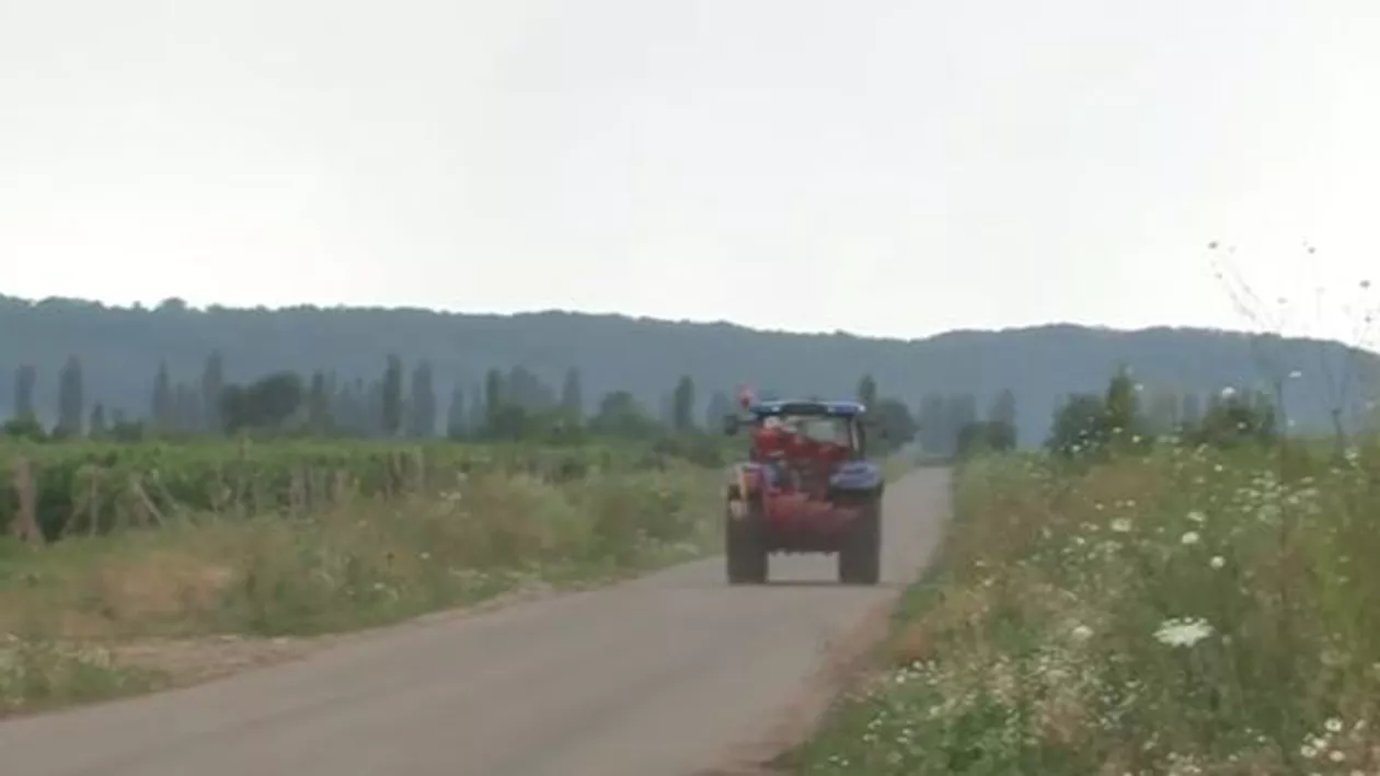 Primarul zelos al unei comune din România a asfaltat inclusiv drumul agricol folosit de viticultori (VIDEO)