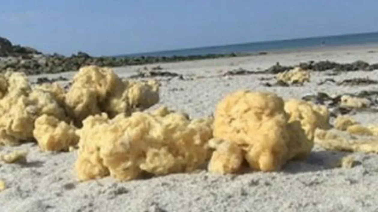O spumă ciudată galbenă acoperă plajele din Franța (VIDEO)