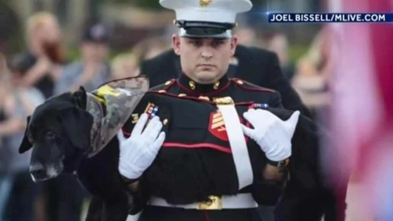 Ceremonie emoționantă organizată de Armata Statelor Unite pentru un câine bolnav de cancer: Sute de oameni au participat (VIDEO)