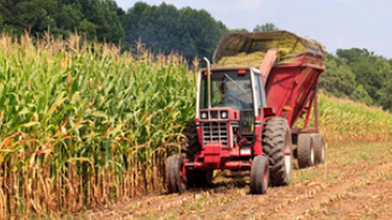 Criză pe piața forței de muncă! "Vrem să angajăm un agronom, cu 5.000 euro/lună. Căutam și tractoriști, tehnicieni agricoli, zilieri": Guvernanții au distrus școlile profesionale și noțiunea de muncă!