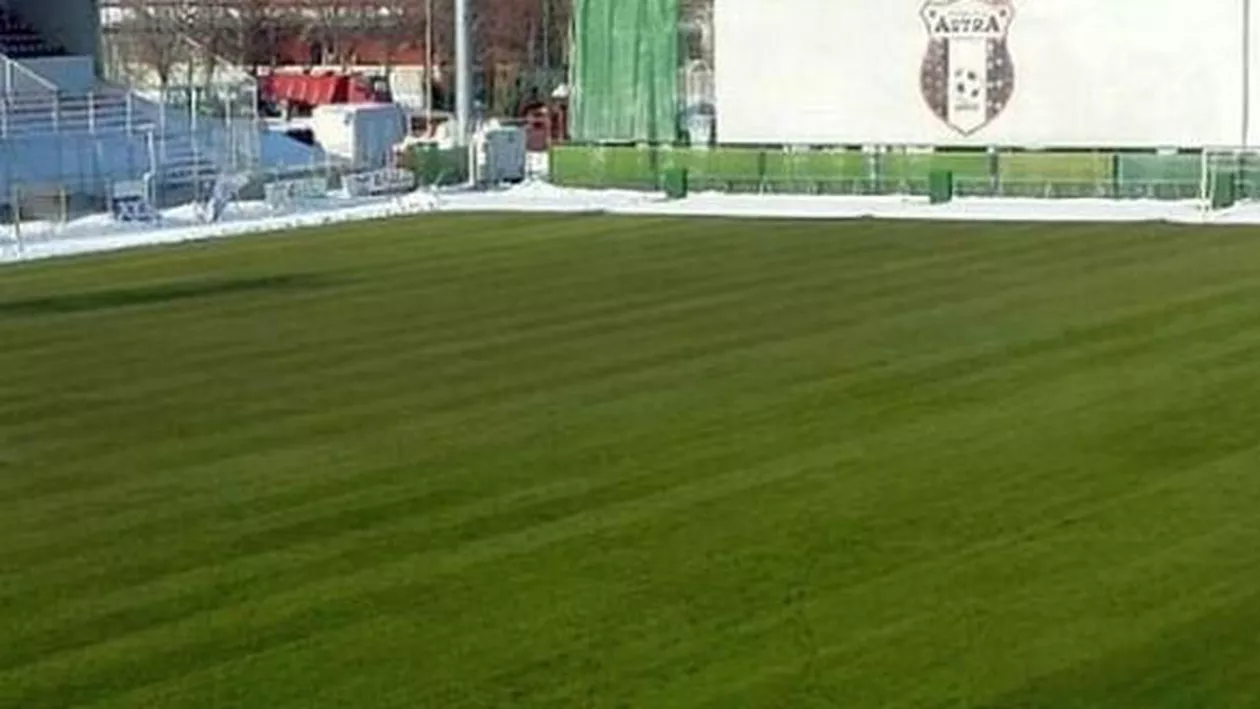 ATACUL VIESPILOR! Imagini INEDITE în Liga 1 (FOTO)