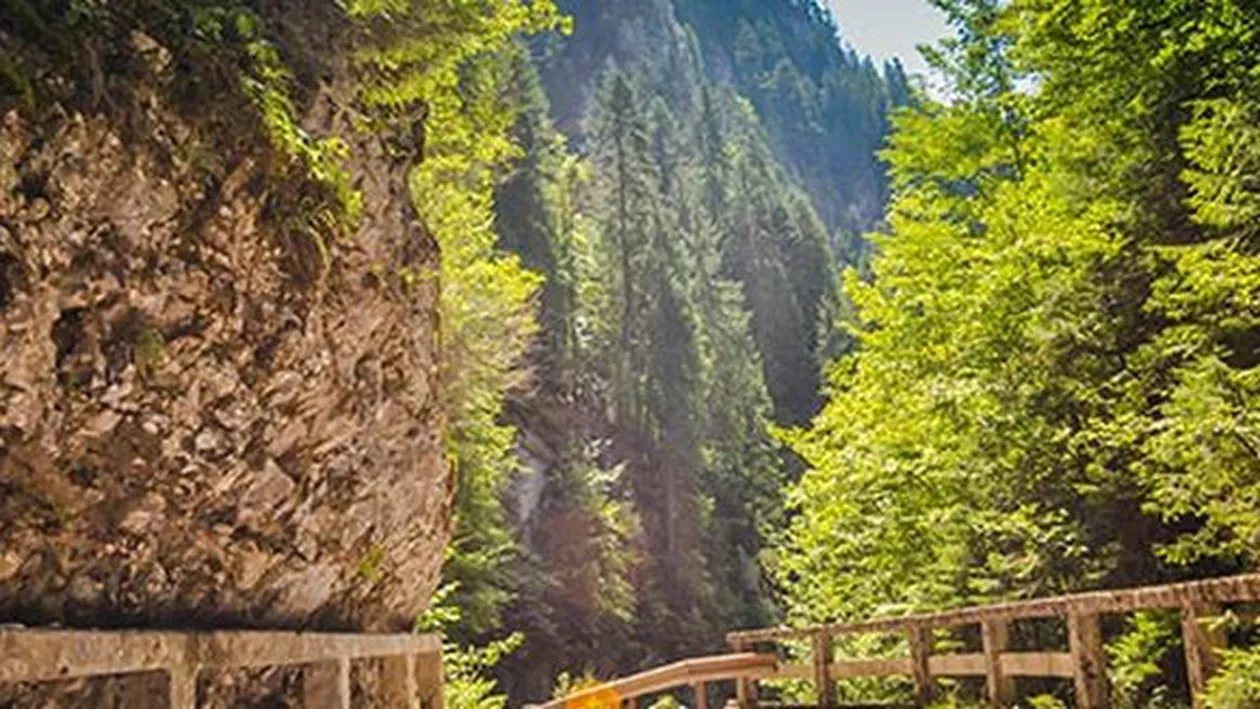 Scandal pentru parcarea de la Peștera Urșilor. Primăria rezolvă: „Dorim să devenim proprietari”