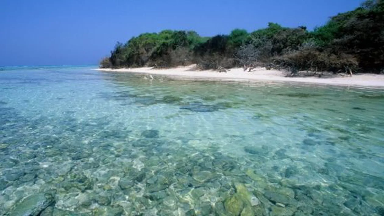 Arabia Saudită pregătește un poiect grandios prin care vrea să atragă milioane de turiști 