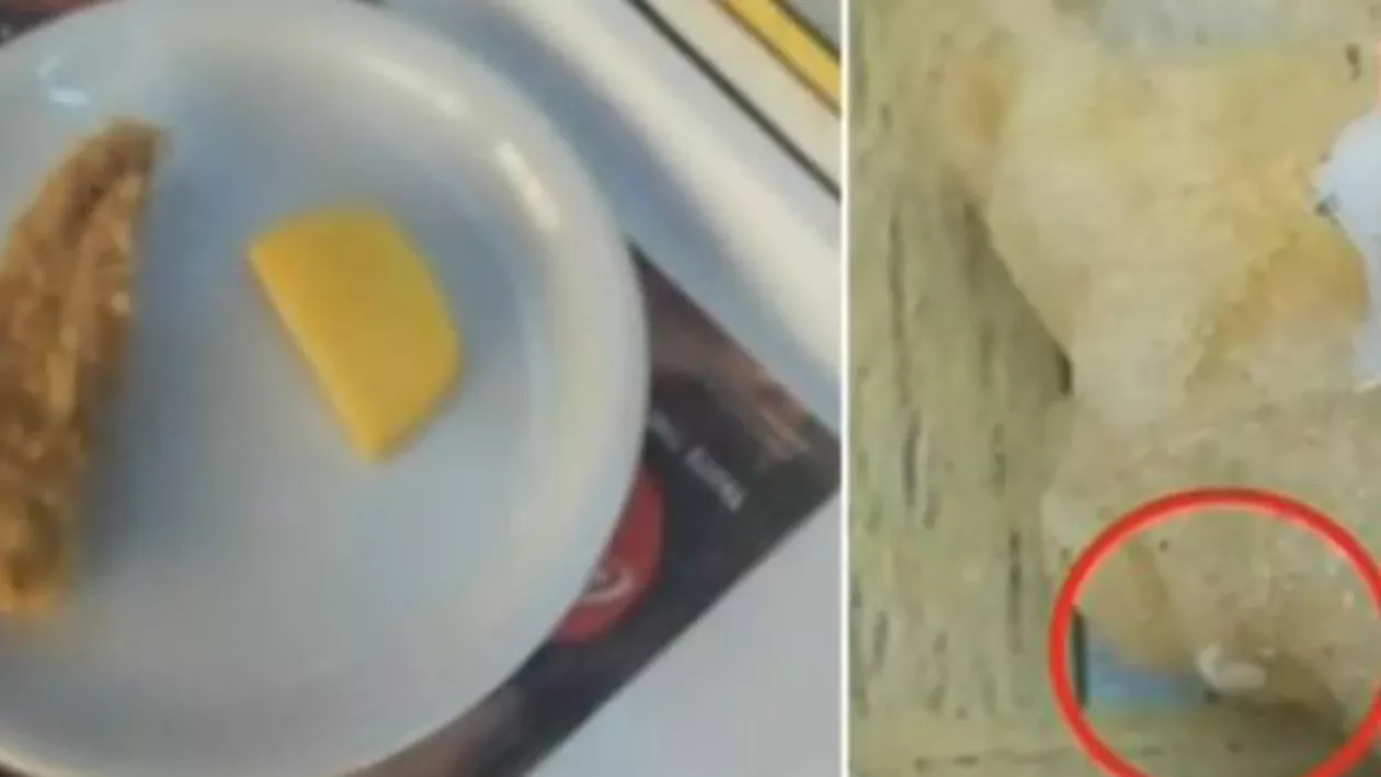 Descoperire șocantă la o terasă de pe litoral: Pește cu viermi, în farfurie (VIDEO)