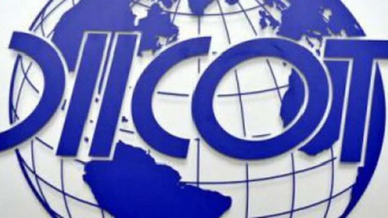 Doi adolescenţi suspectaţi de atacuri informatice împotriva unor instituţii, duşi la audieri la DIICOT