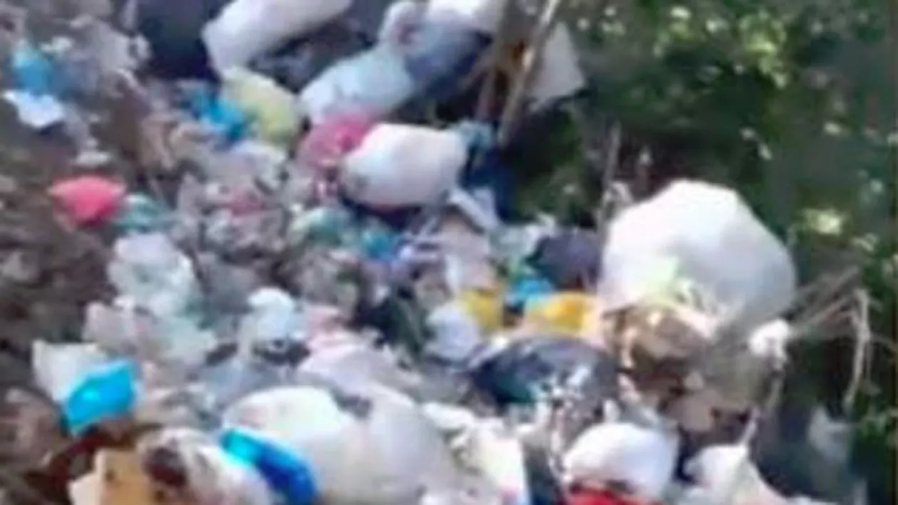 Saci cu gunoaie aruncate în natură din mașina Primăriei (VIDEO)