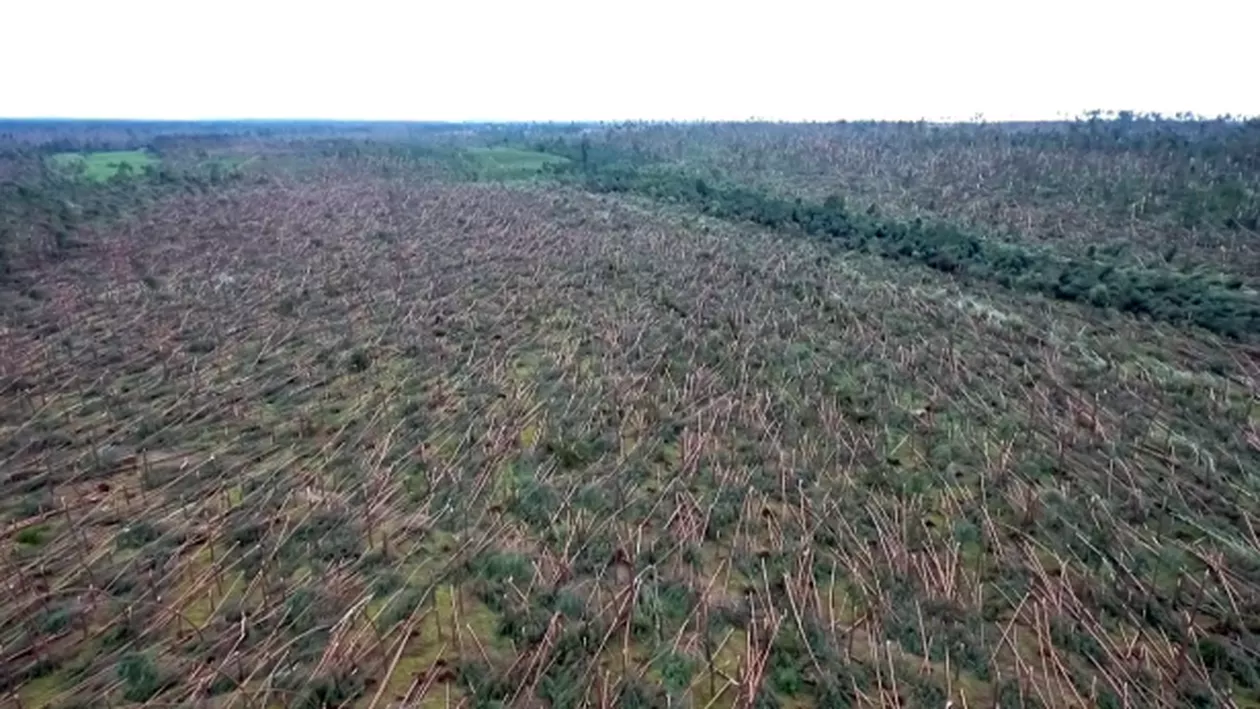 TORNADĂ fără precedent în Polonia: cinci morți, zeci de răniți, sute de mii de gospodării fără electricitate! (VIDEO)