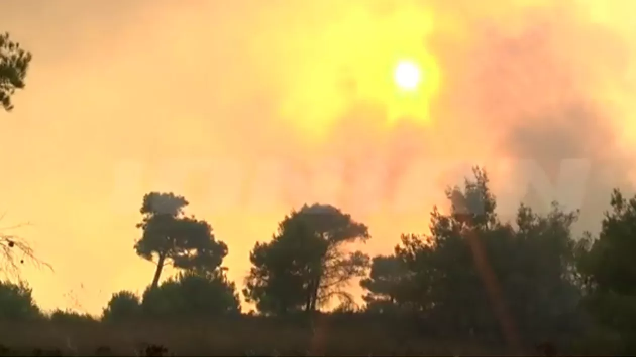 Arde insula Zakynthos, PERLA turismului din Grecia!! Incendiul a fost provocat de o mână criminală (VIDEO)