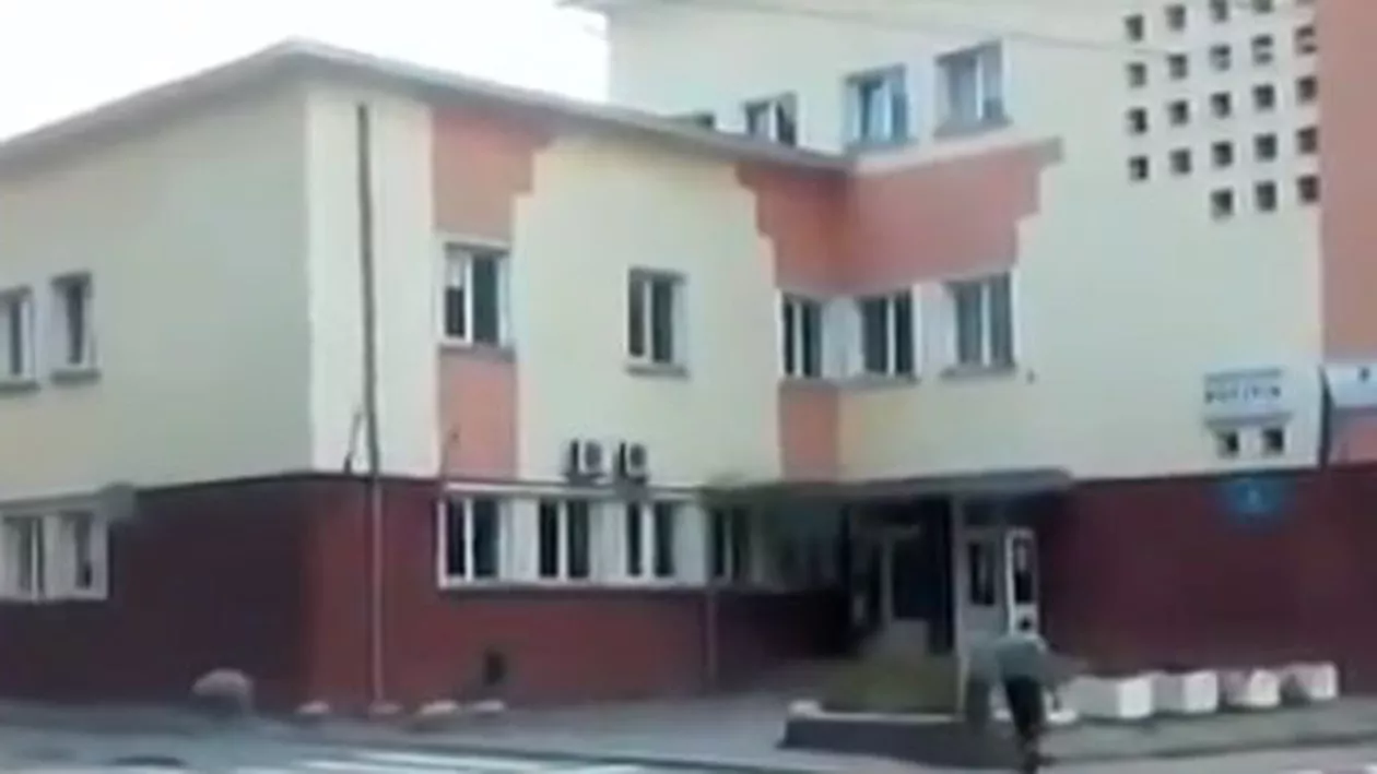 Apariţie inedită în Turda. O scroafă și purceluşii ei au trecut prin fața secţiei de poliţie (VIDEO)