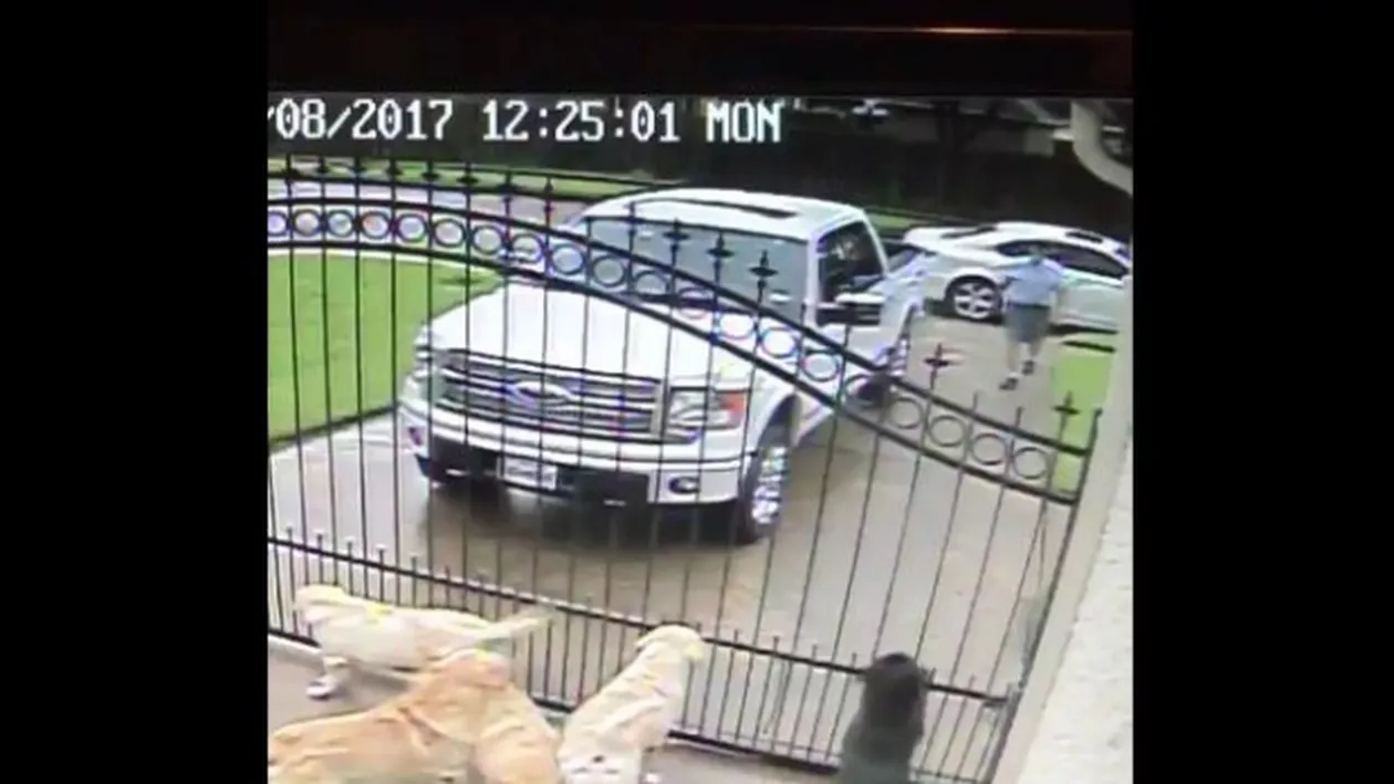 Motivul pentru care poştaşul venea în fiecare zi la poarta lor. Care este adevărul (VIDEO, FOTO)