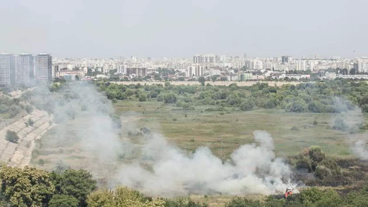 Incendiu de vegetație în Delta Văcărești! Pompierii au intervenit de urgență (VIDEO, FOTO)