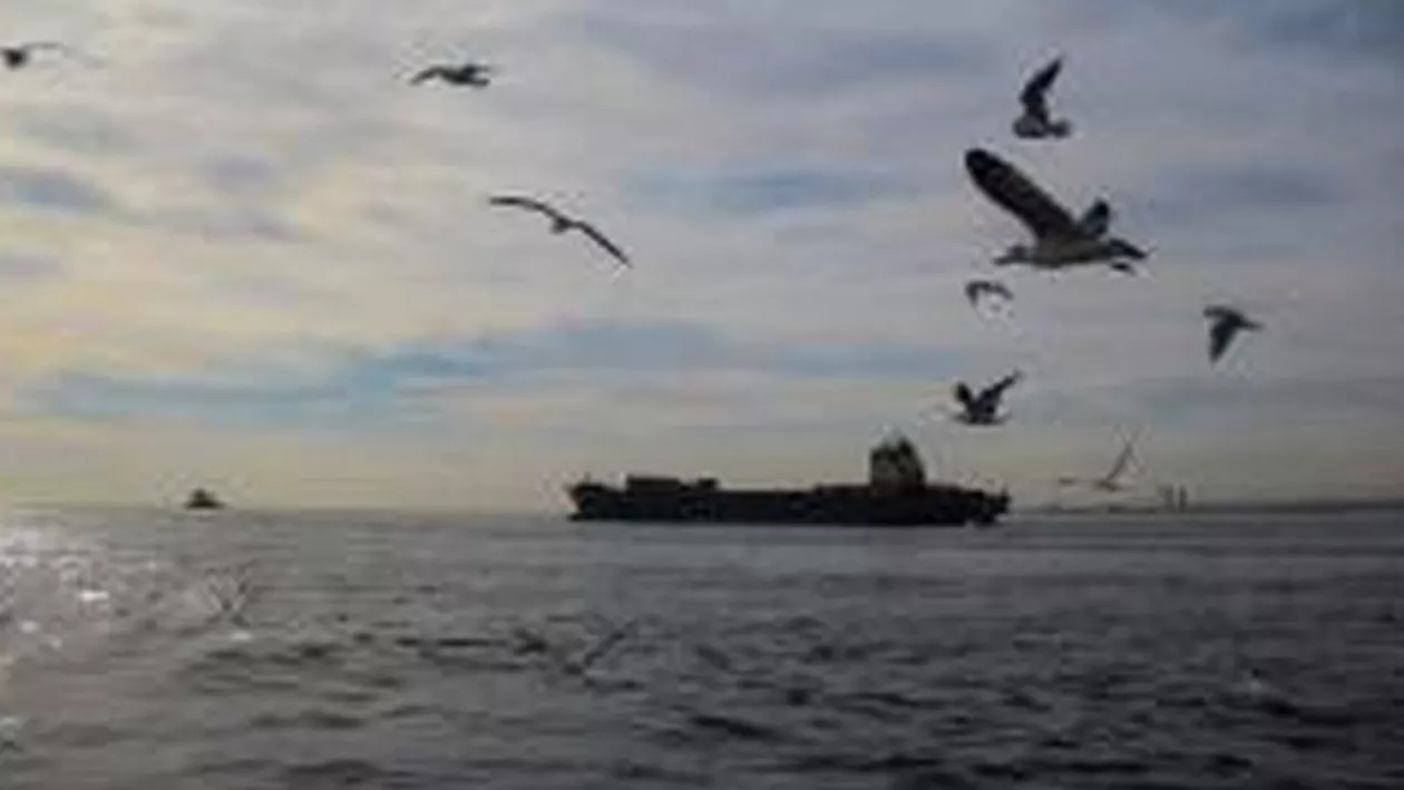 EVITAȚI ACEASTĂ NAVĂ! Șase marinari români blocați! Avertismentul Sindicatului Liber al Navigatorilor (FOTO)
