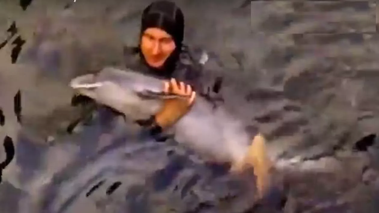 Intervenție emoționantă la Constanța: Un scafandru a ajutat o femelă delfin să nască (VIDEO)