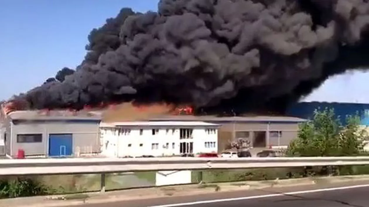 Incendiu VIOLENT lângă Timișoara: O fabrică a fost cuprinsă de flăcari! (VIDEO, FOTO)