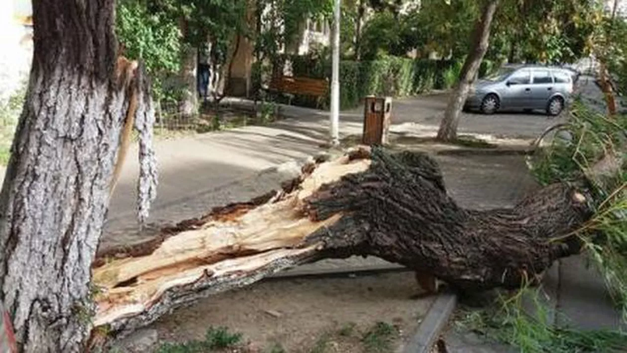 Ravagii provocate de furtună în 37 de localități din Bihor
