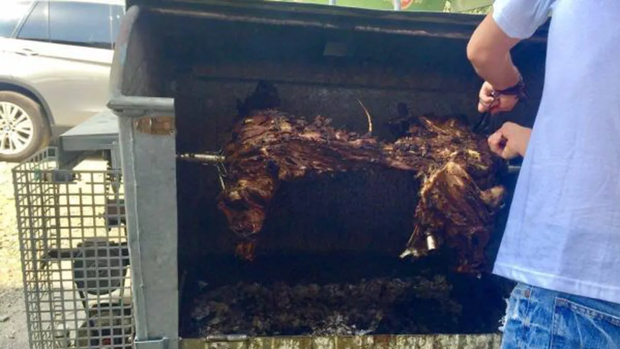 Un nou VIRAL marca Godină: Carne la proțap în containerul de gunoi! (FOTO)