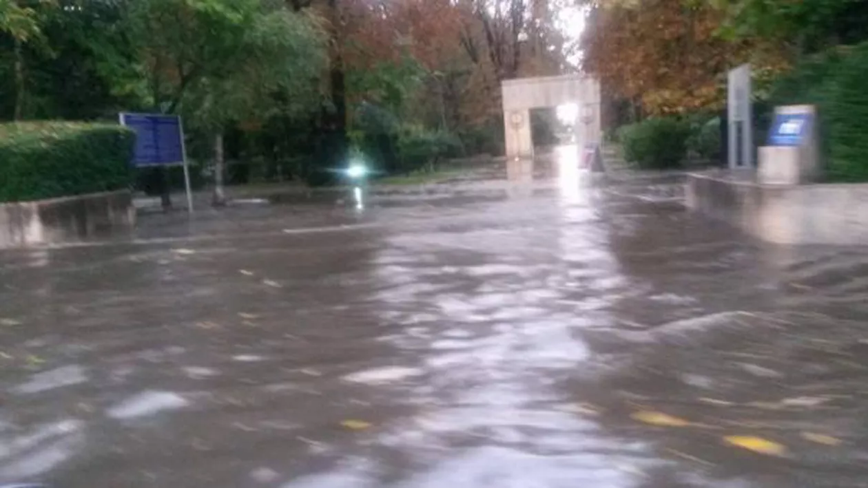 Fosta șefă de la Centrul Brâncuși, sancționată că a SPĂLAT Poarta Sărutului, o comite din nou!