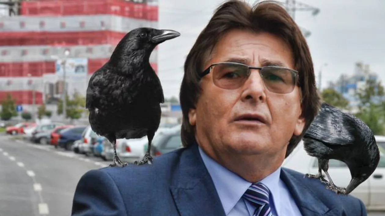 Din ideile trăsnite ale primarului Robu: Anticoncepționale pentru ciori (FOTO)