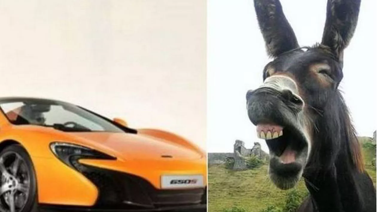 Un MĂGAR a mâncat vopseaua de pe un McLaren: "Vito a confundat culoarea mașinii cu cea a morcovilor" (FOTO)