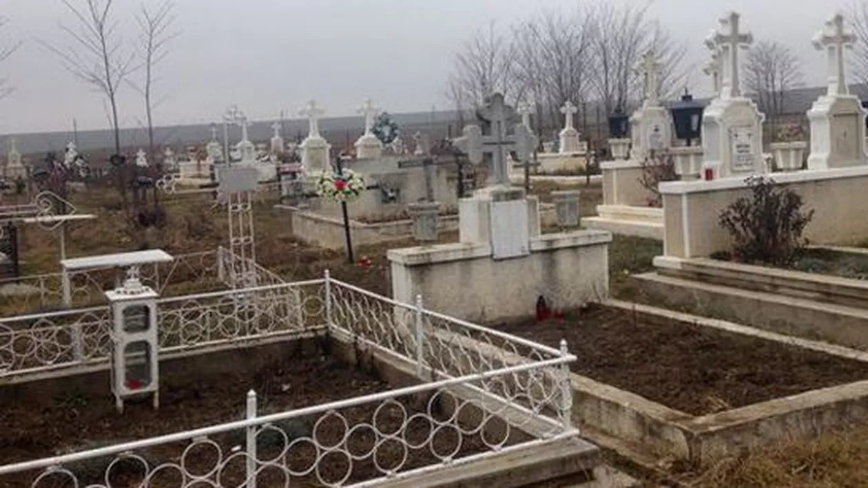 INCREDIBIL! Întors în ţară după 16 ani, un bărbat s-a trezit cu 86 de cavouri pe terenul său (FOTO)