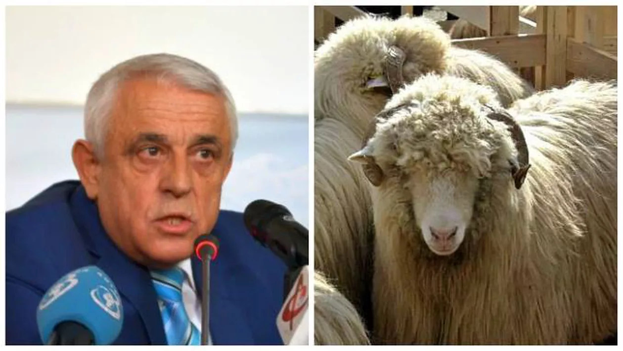 Petre Daea, un nou elogiu adus oii și lânii: „O podoabă frumoasă, care cândva putea reprezenta gaj la bancă”
