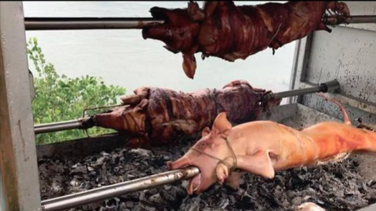 "Porcii Tudosică, Livulică și Tudorică". Călinescu lovește în PSD: Poftă bună, Popor!