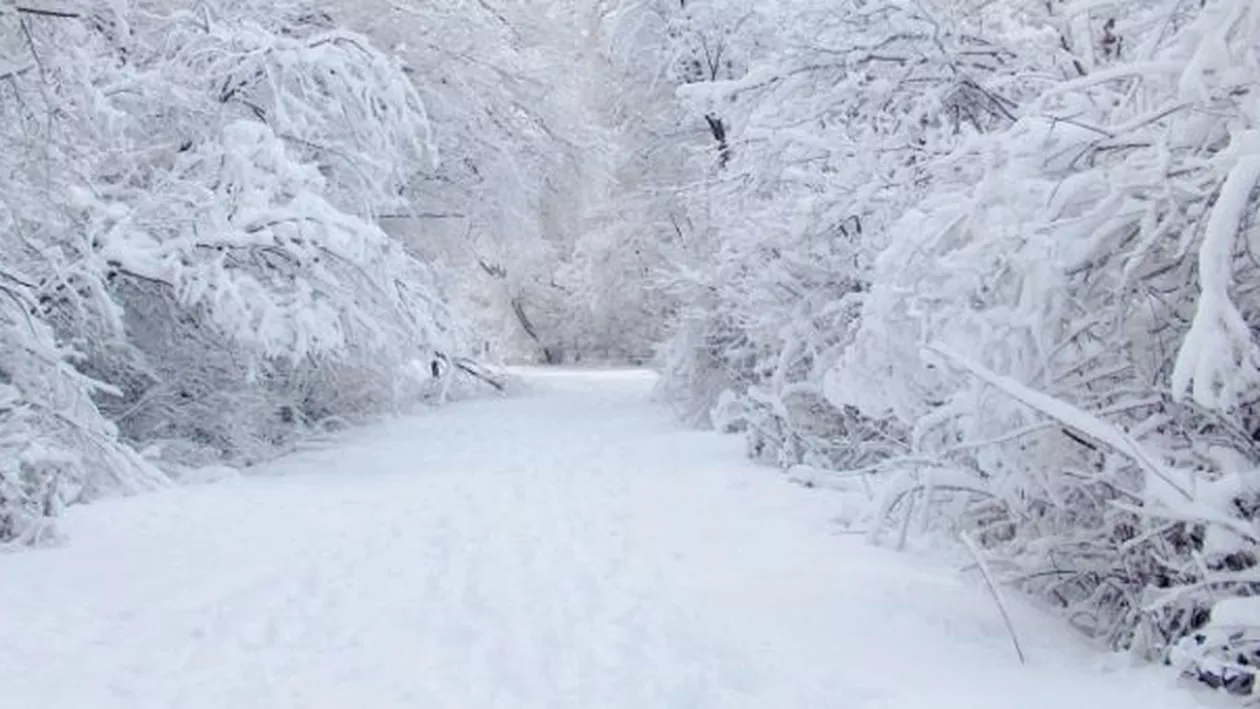 Primele NINSORI în România. Unde a lovit VISCOLUL (VIDEO)
