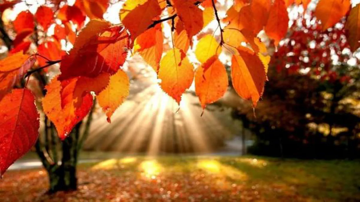 Vremea se ameliorează: Temperaturile vor fi normale pentru această perioadă (VIDEO)