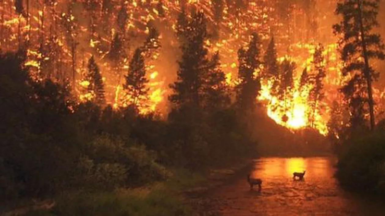 Peninsula Iberică, afectată de incendii de vegetație! Cel puțin 40 de oameni au murit
