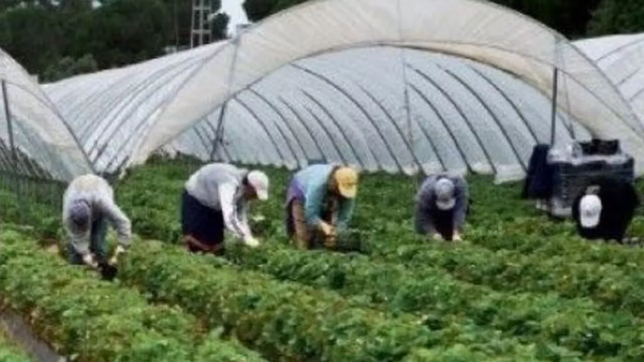 Românii și alți imigranți din Italia produc anual mai mult decât toată economia Ungariei