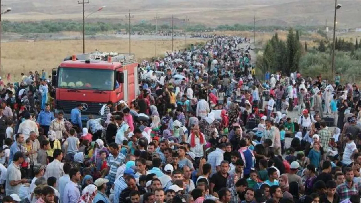 Migranții dau năvală în Timișoara. Cum i-a găsit poliția de frontieră