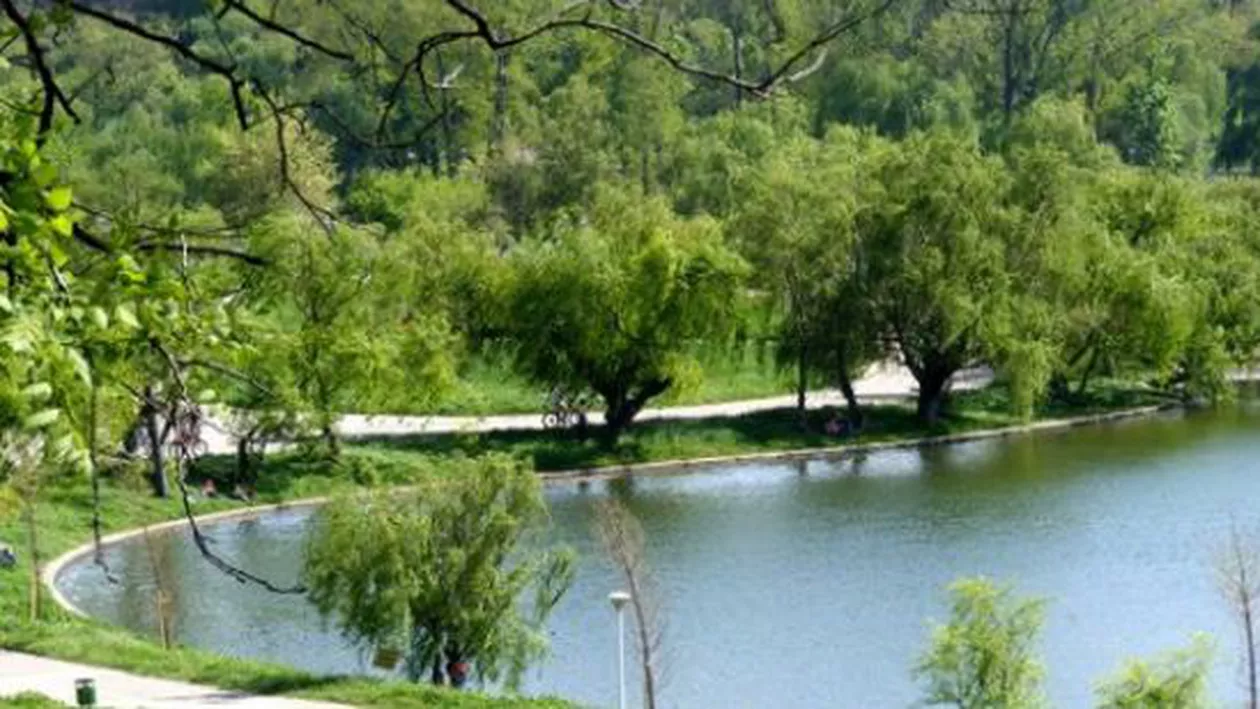 Trupul neînsuflețit al unui bărbat de 31 de ani a fost găsit într-un parc din sectorul 4 al Capitalei