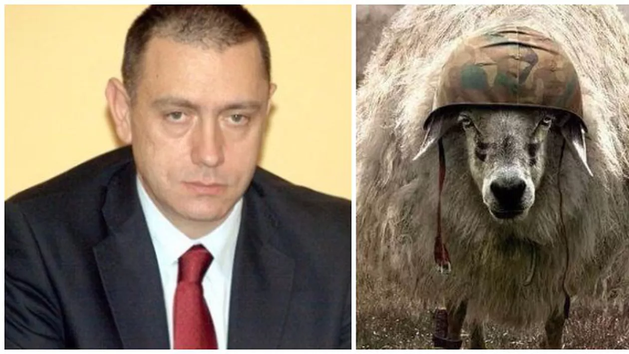 Orice ministru pe limba lui piere? Declaraţii tragi-comice ale ministrul Apărării despre flota României în comparație cu cea a Rusiei