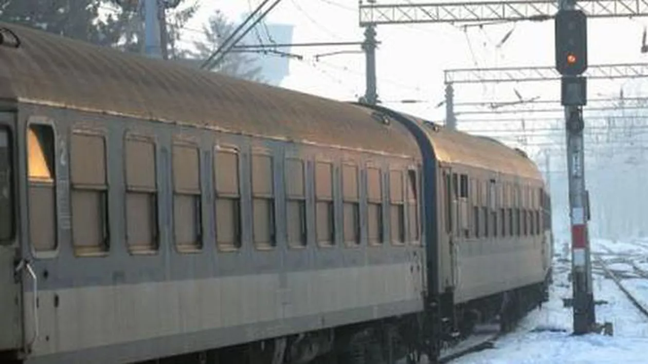 ALERTĂ! Circulația feroviară între Brasov și Predeal, întreruptă din cauza unui copac căzut