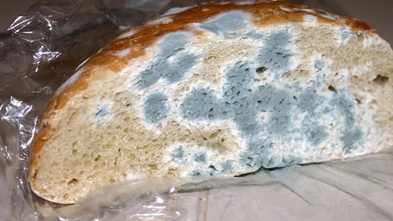 Imagini scandaloase în bucătăria unui cunoscut lanț de magazine. Atenție! Românii mănâncă zilnic acolo (VIDEO)