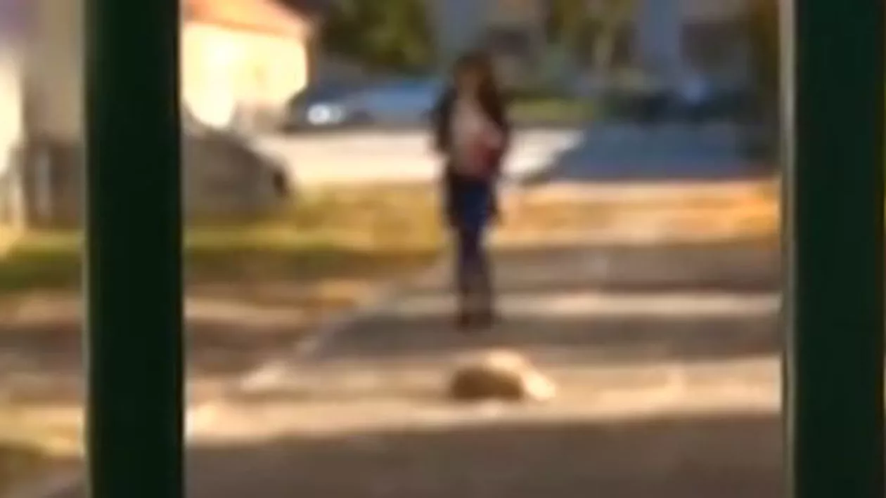 Bătaie pe holurile unui liceu din Curtea de Argeş. Un adolescent a ajuns la spital (VIDEO)