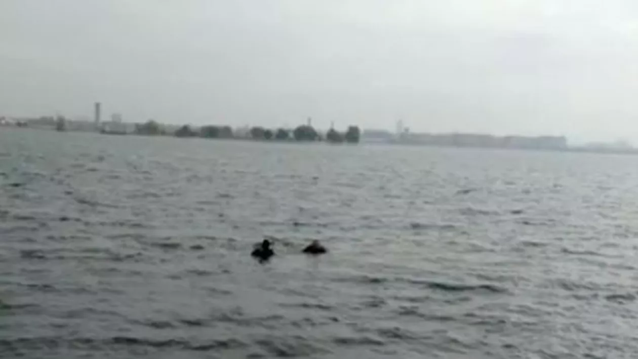 ALERTĂ ÎN BUCUREȘTI: O mașină S-A SCUFUNDAT într-un lac din CAPITALĂ. SALVATORII intervin chiar acum!