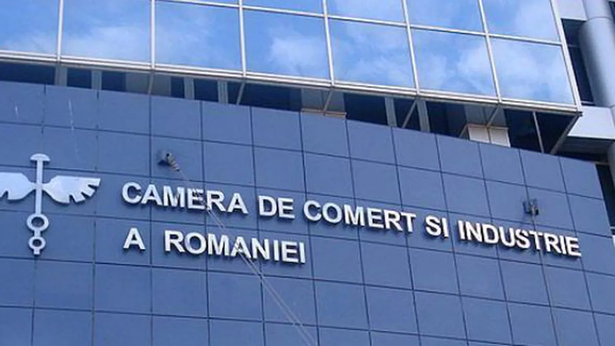 Camera de Comerţ, AVERTISMENT DUR către Guvern: Dacă se retrag multinaționalele, închidem lumina țării