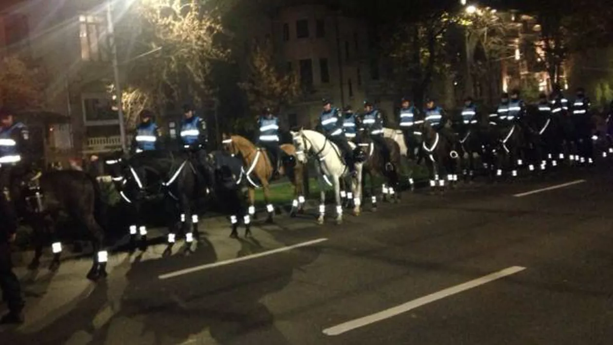 Carmen Dan a scos jandarmii călare să INTIMIDEZE protestatarii anti-PSD: ”Cambrau caii, impresia era că instigau” (FOTO, VIDEO)
