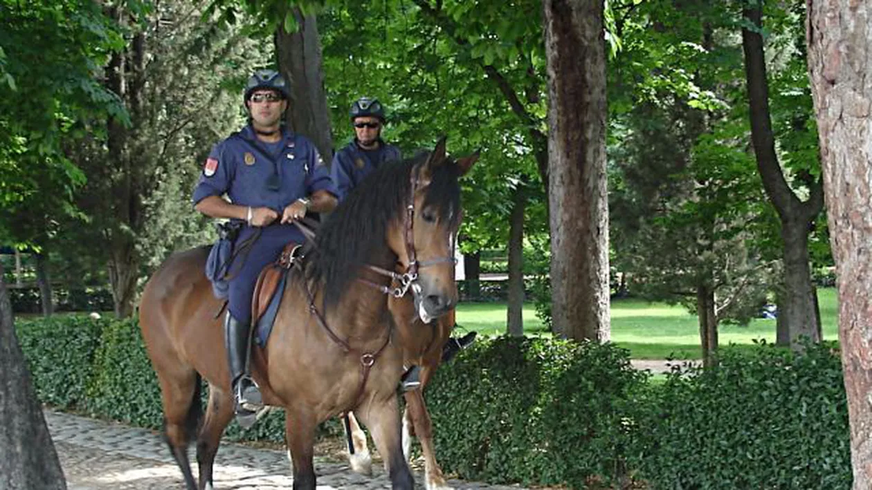Cal mort la proteste (VIDEO și FOTO)