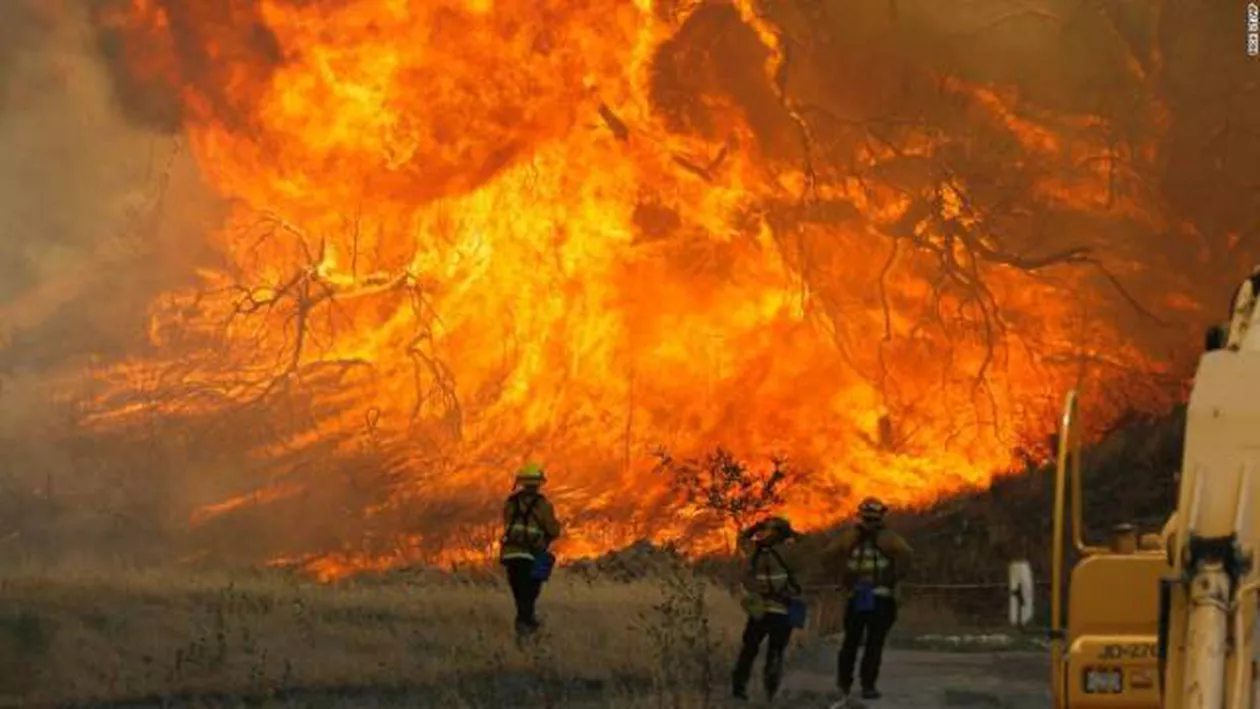 IMPRESIONANT: Un om salvează un iepure de flăcările incendiilor din California (VIDEO)