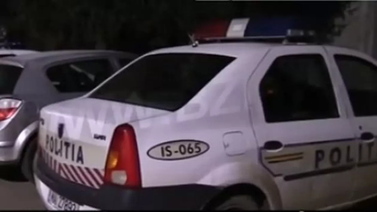 Polițiști, atacați de scandalagii: Mai mulţi tineri băuți au distrus mașina agenților (VIDEO)