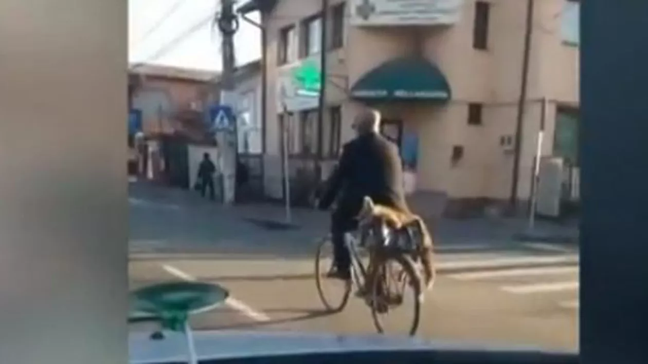 Un bărbat s-a ales cu dosar penal după ce a plimbat o vulpe moartă prin oraș (VIDEO)