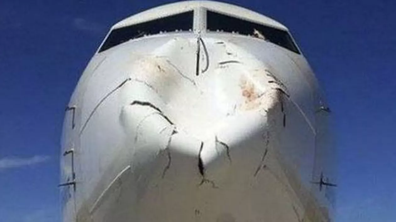 ALERTĂ! Un AVION DE PASAGERI a lovit o pasăre la aterizare
