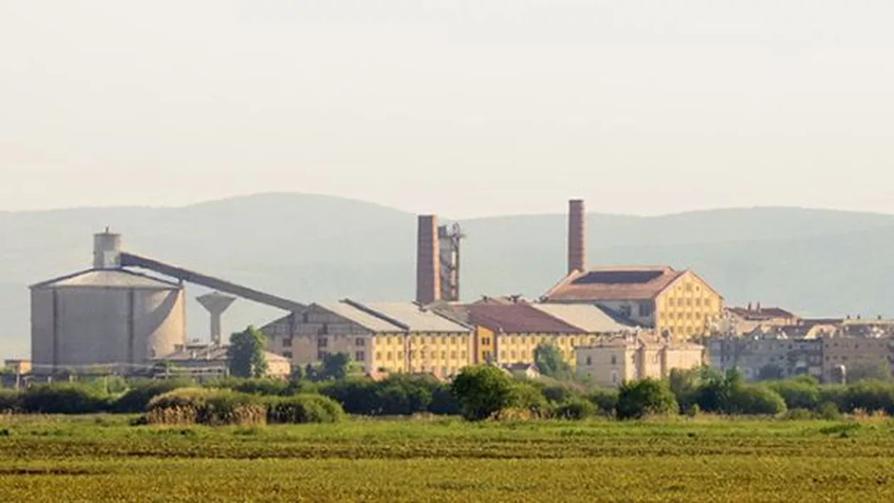 UPDATE // Final de epocă: Ultima fabrică românească de zahăr a intrat în faliment. Zeci de mii de angajați au de suferit / Reacția reprezentanților fabricii