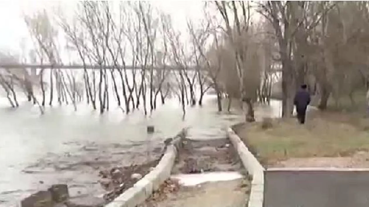 Doreii din Calafat au inventat pista de biciclete pe apă (VIDEO)